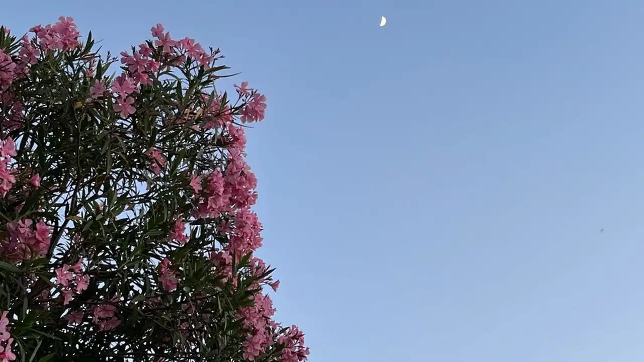 如何选择播放器替代快播观看日韩片及使用指南