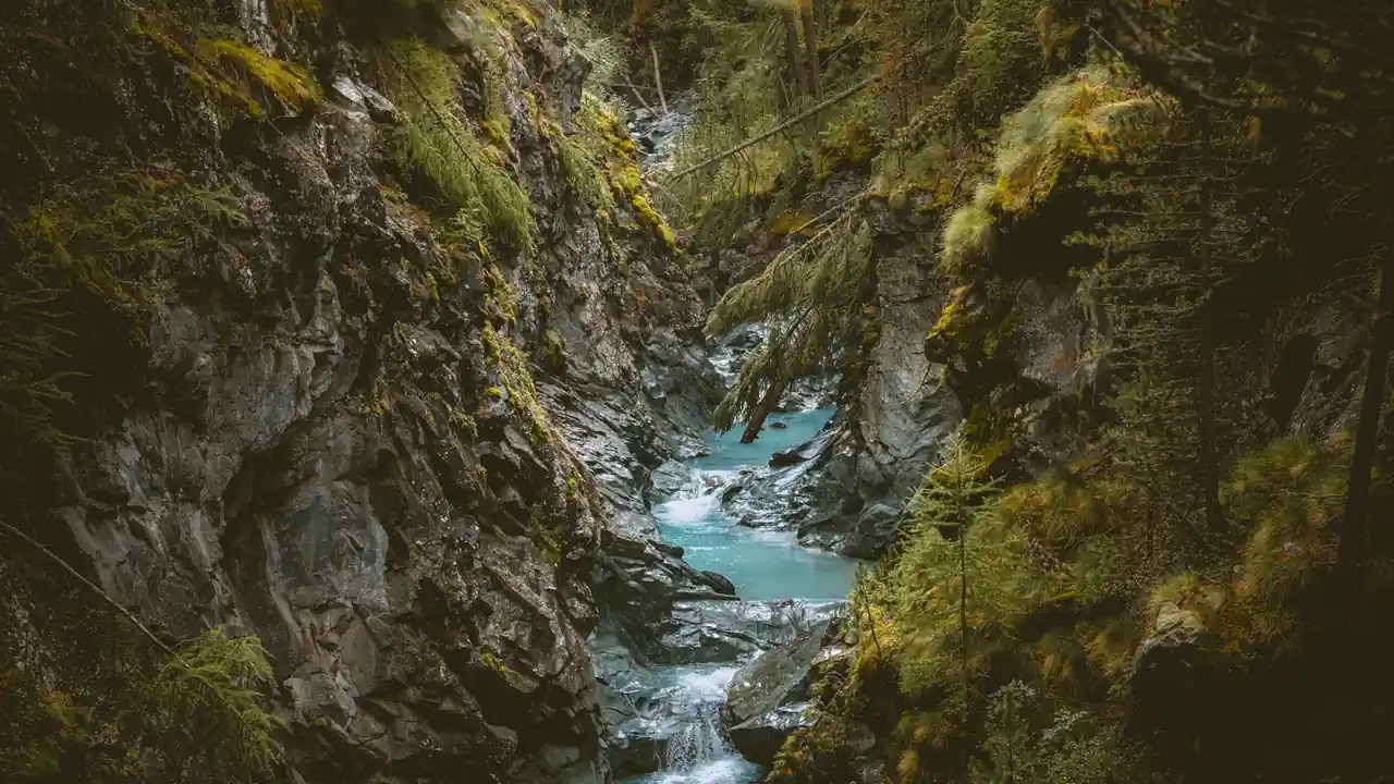 羞羞软件的功能用途与选择注意事项